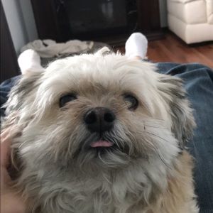 Meet your Posher, Colby